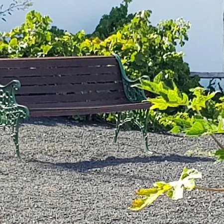 Farm stay Casa Nieves Tabayesco